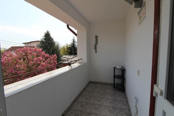 Ciolpani casa singur curte cu vegetatie superba. 37 minute de Bucuresti