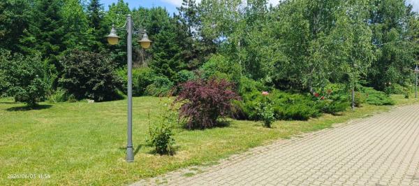 PARADISUL VERDE. PARCELA DE TEREN 1363 MP. LOT SPECIAL. RETRAS