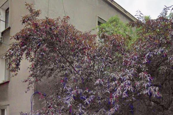 2 camere, Rahmaninov (Floreasca)