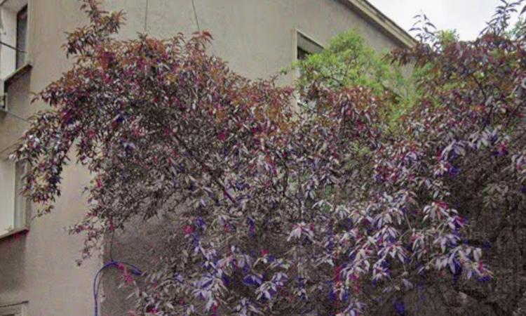 2 camere, Rahmaninov (Floreasca)
