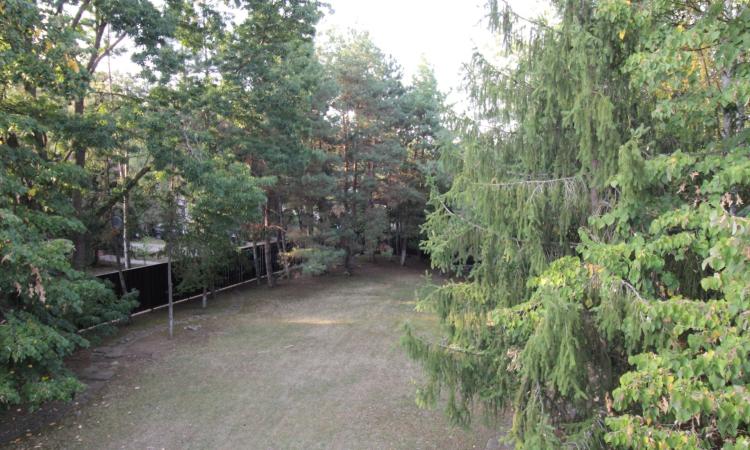 De vanzare casa singur curte teren 1064 mp utili Paradisul Verde Corbeanca Ilfov
