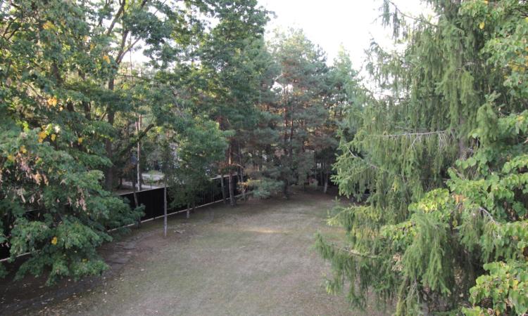 De vanzare casa singur curte teren 1064 mp utili Paradisul Verde Corbeanca Ilfov