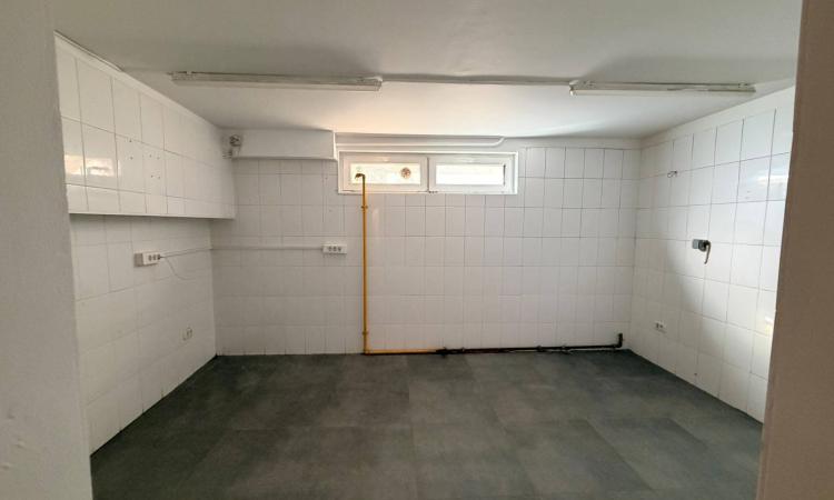 Spatiu comercial de 112 mp utili cu terasa de 22 mp de inchiriat- Kiseleff