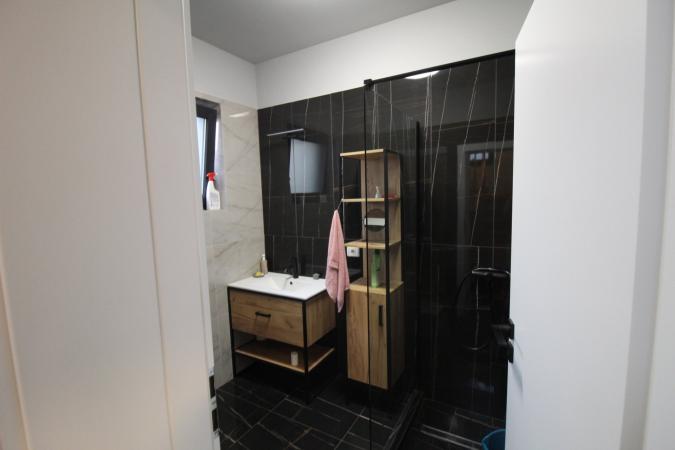 Vila 5 camere, 3 bai, teren de 600 mp in Paradisul Verde Corbeanca an 2022 de inchiriat, SU 162 mp