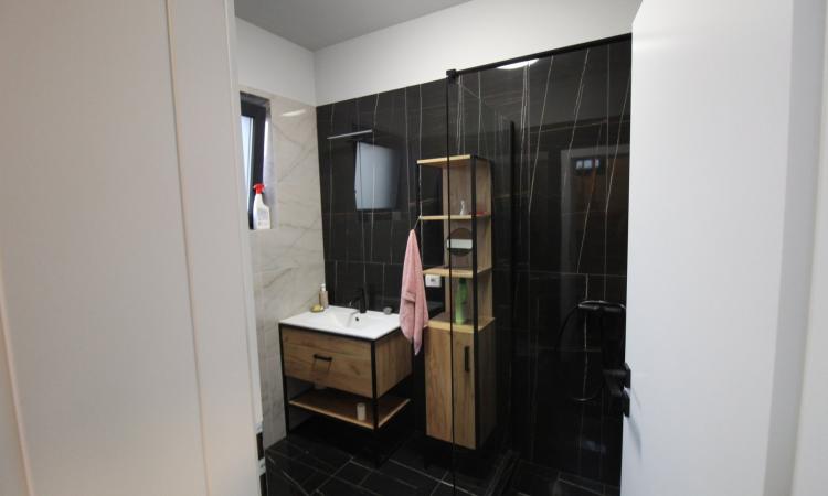 Vila 5 camere, 3 bai, teren de 600 mp in Paradisul Verde Corbeanca an 2022 de inchiriat, SU 162 mp