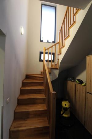 Vila 5 camere, 3 bai, teren de 600 mp in Paradisul Verde Corbeanca an 2022 de inchiriat, SU 162 mp