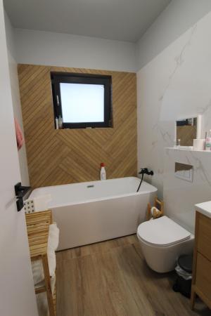 Vila 5 camere, 3 bai, teren de 600 mp in Paradisul Verde Corbeanca an 2022 de inchiriat, SU 162 mp