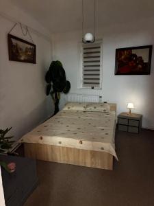 De inchiriat apartament cu 2 camere in vila zona Cotroceni (prima inchiriere)