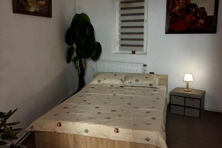 De inchiriat apartament cu 2 camere in vila zona Cotroceni (prima inchiriere)