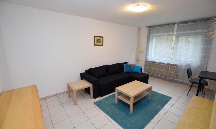 Apartament 2 camere - Aviatiei - Promenada Mall - Metrou