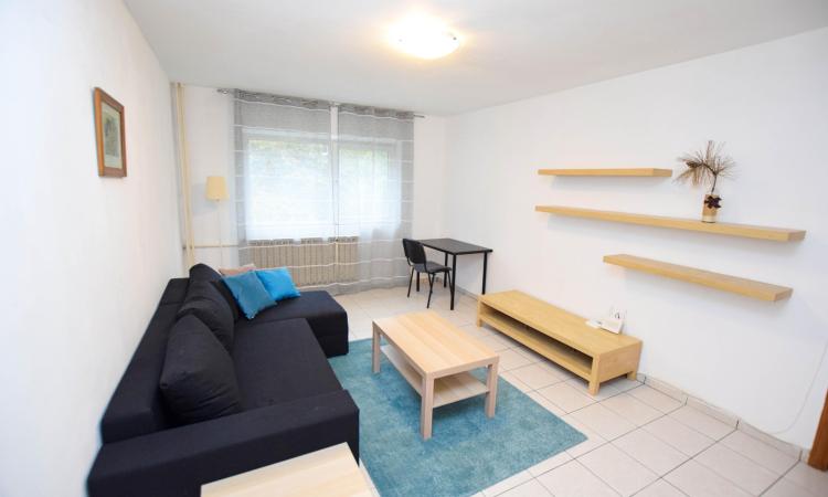 Apartament 2 camere - Aviatiei - Promenada Mall - Metrou