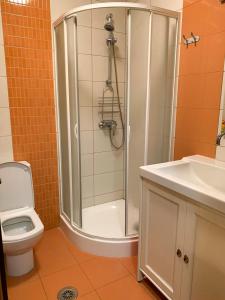 Modern 3-Room Apartment-Pipera-Erou Iancu Nicolae