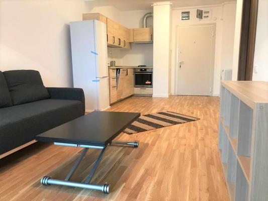 Prima inchiriere apartament 2 camere - Modern - Vasile Lasacar 216
