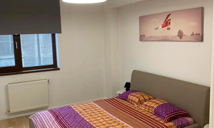 Apartament 3 camere Baneasa - Ficusului