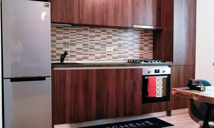 Apartament 3 camere Baneasa - Ficusului