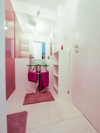 Apartament 3 camere Baneasa - Ficusului
