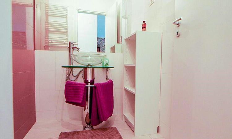 Apartament 3 camere Baneasa - Ficusului