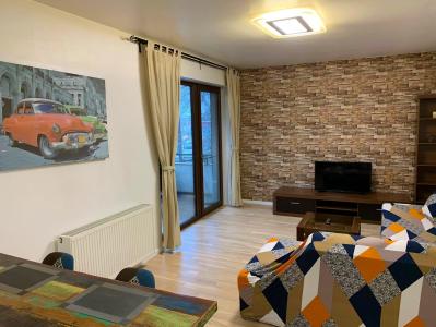 Apartament 3 camere Baneasa - Ficusului
