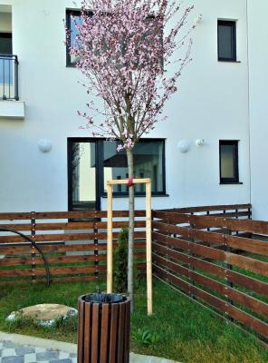 Garsoniera Greenfield - gradina + parcare