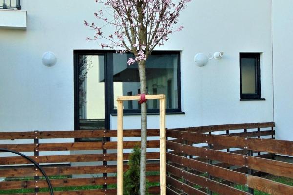 Garsoniera Greenfield - gradina + parcare