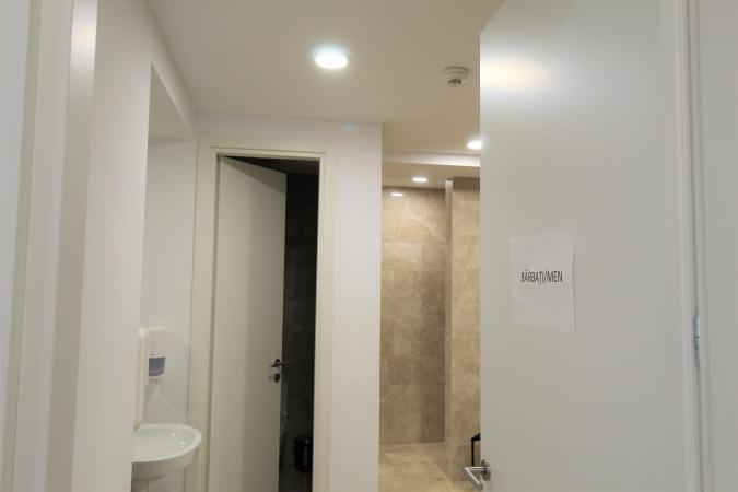 Detached 1 bedroom Apartment +parking for rent Luxuria Residence  - Domenii
