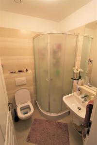 3 Camere Greenfield Residence