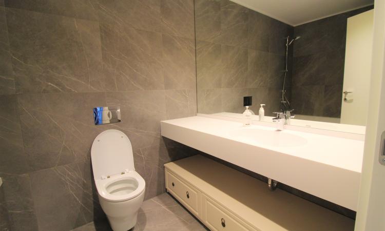 2 Camere One Herastrau cu parcare inclusa in Subteran