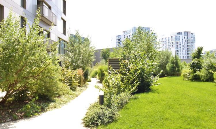 Inchiriere Apartament 2 camere - Aviatiei Park - Confort Lux
