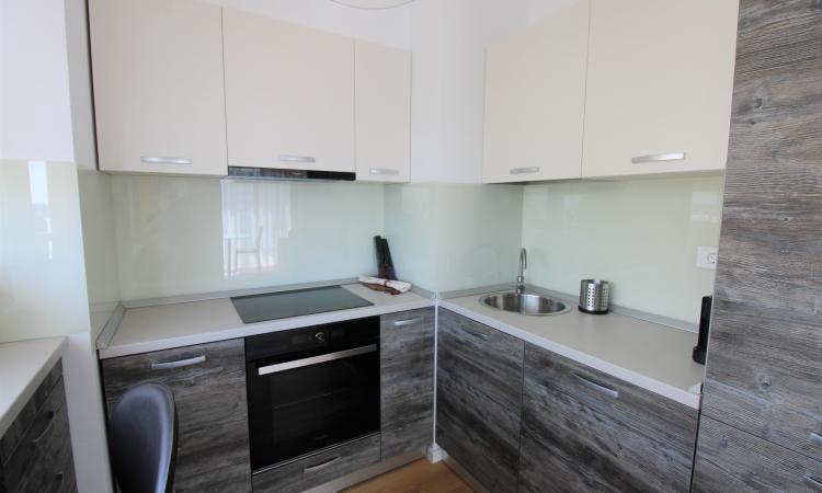 Inchiriere Apartament 2 camere - Aviatiei Park - Confort Lux