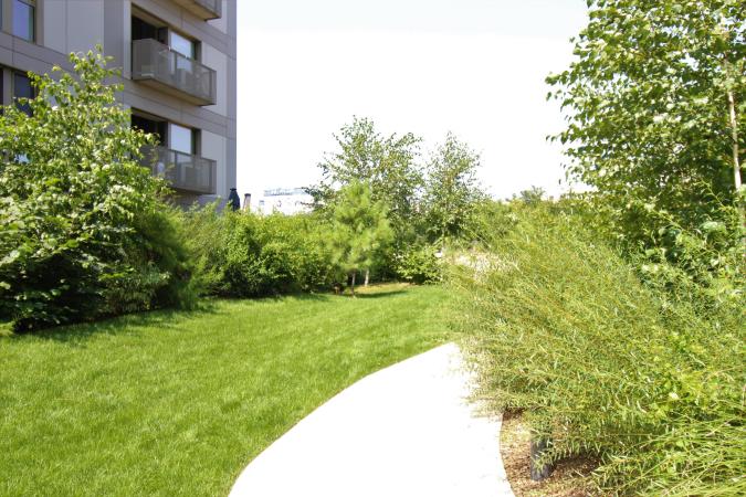 Inchiriere Apartament 2 camere - Aviatiei Park - Confort Lux