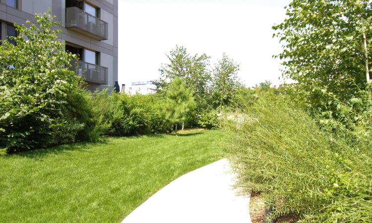 Inchiriere Apartament 2 camere - Aviatiei Park - Confort Lux
