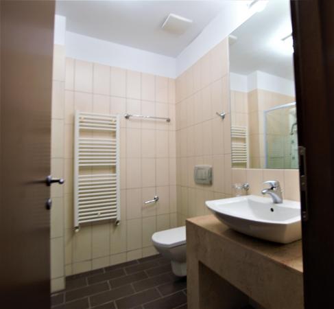 Apartament 3 camere, 3 bai, Baneasa, lux, spatios, renovat, terasa generoasa