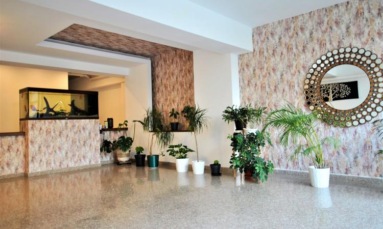 2 camere - Damaroaia - modern - pretabil birou (avocatura, psihologic etc)