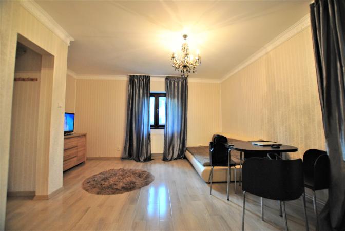 Apartament 2 camere - Pasajul Baneasa - parter - gradina comuna
