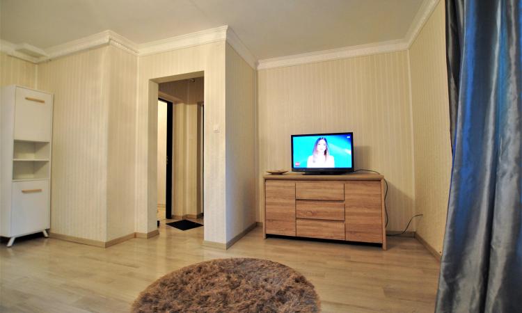 Apartament 2 camere - Pasajul Baneasa - parter - gradina comuna