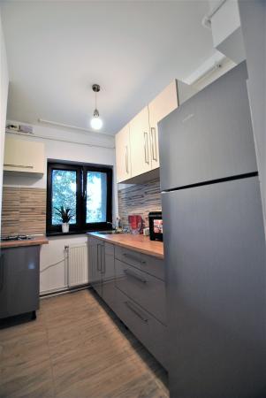Apartament 2 camere - Pasajul Baneasa - parter - gradina comuna