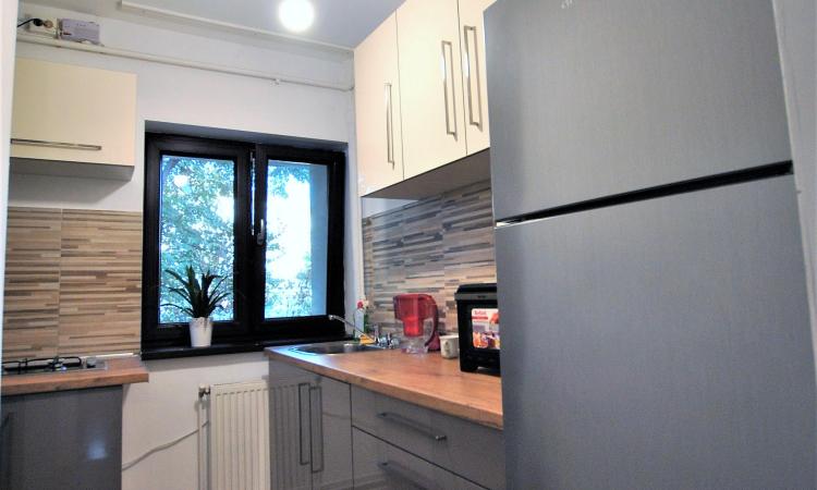 Apartament 2 camere - Pasajul Baneasa - parter - gradina comuna