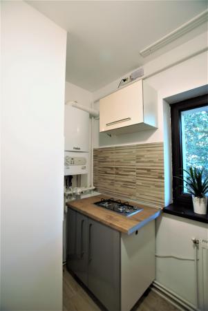 Apartament 2 camere - Pasajul Baneasa - parter - gradina comuna