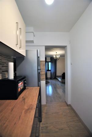 Apartament 2 camere - Pasajul Baneasa - parter - gradina comuna