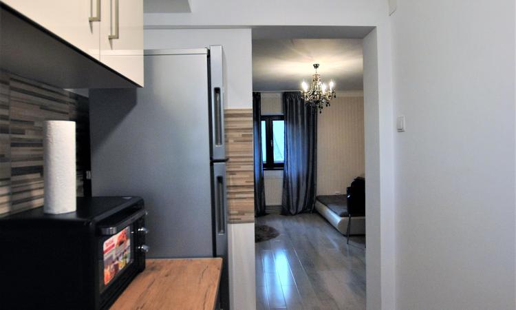 Apartament 2 camere - Pasajul Baneasa - parter - gradina comuna