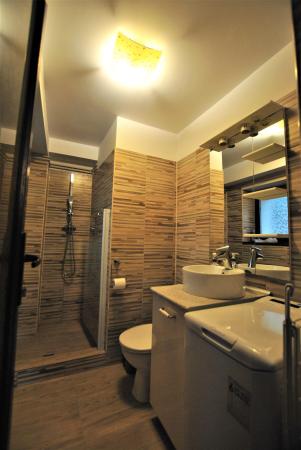 Apartament 2 camere - Pasajul Baneasa - parter - gradina comuna