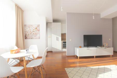 2 elegant rooms - terrace - lake view - Pipera