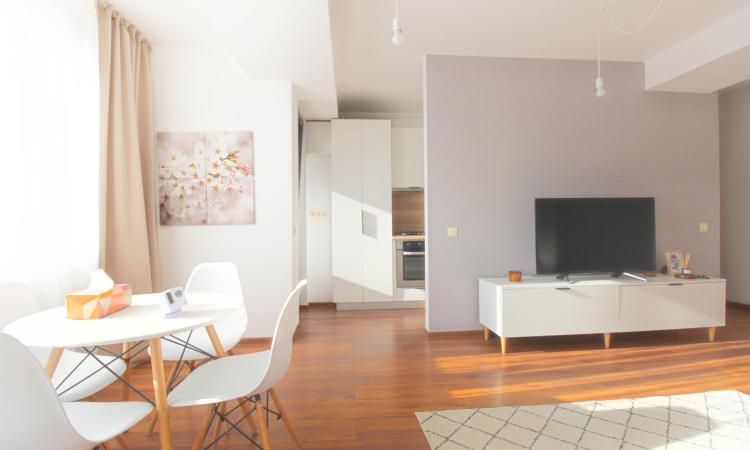 2 elegant rooms - terrace - lake view - Pipera