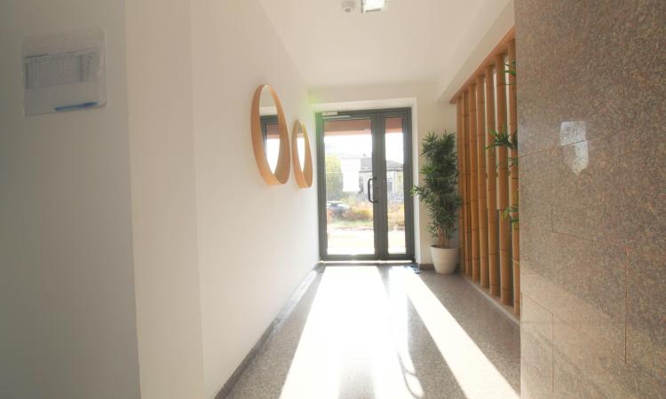 2 elegant rooms - terrace - lake view - Pipera