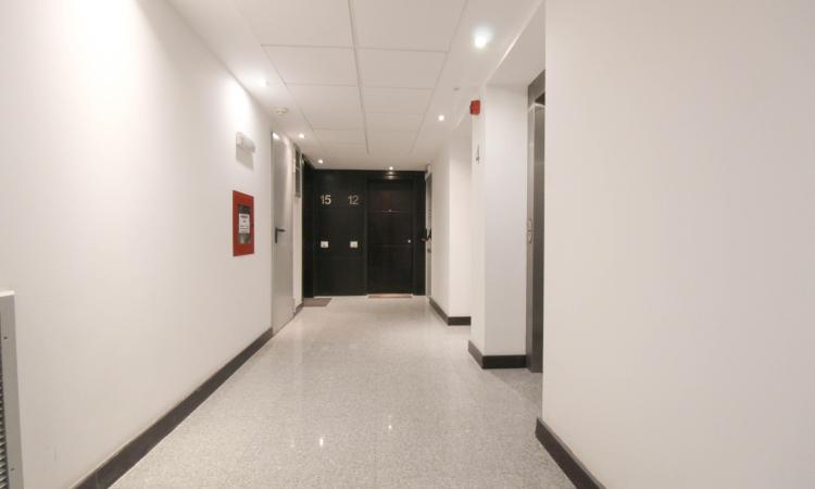 3 luxury rooms with underground parking and terrace - Herastrau Park