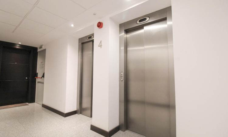 3 luxury rooms with underground parking and terrace - Herastrau Park