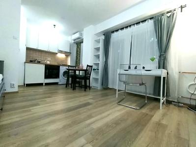 Inchiriere garsoniera  superba, recent renovata, utilata complet zona Lacul Tei