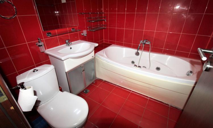 Apartament 2 camere - Lacul Herastrau - modern