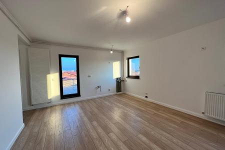 3 camere - Terasa 20 mp - Bucurestii Noi - Laminorului