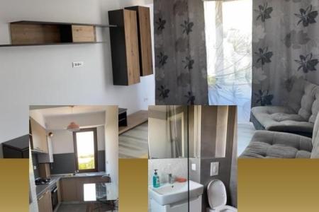 2 camere cu chiriasi 450 euro/luna - langa Stejarii